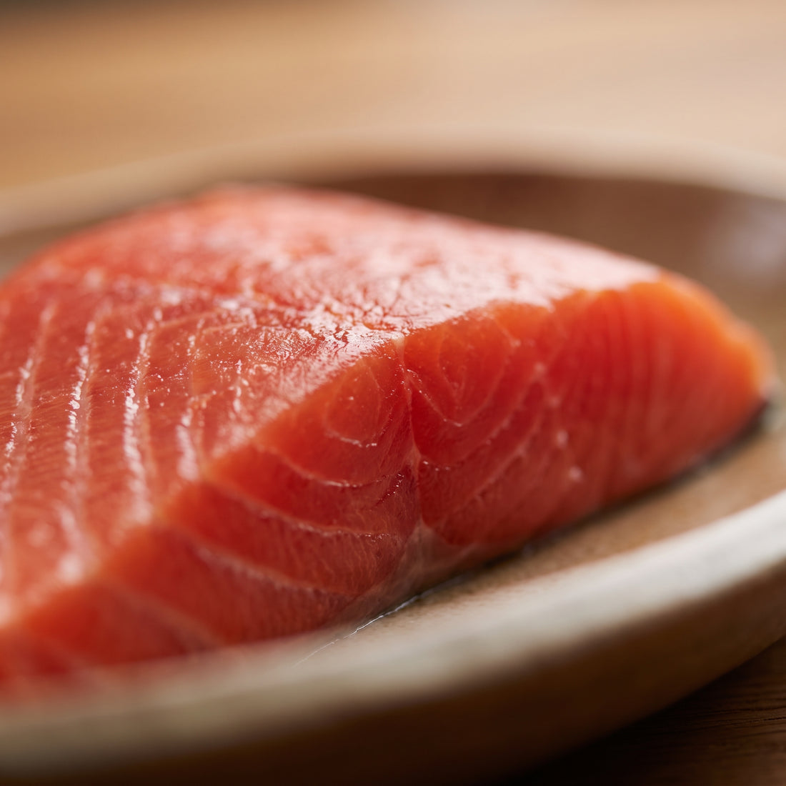 Salmon fillet and red microalgae, deep coral macro